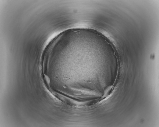 X0000093591469200710291112