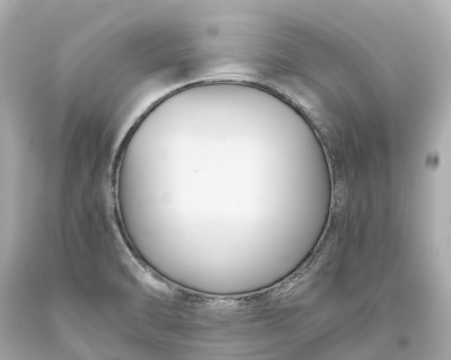 X0000093591470200710291112
