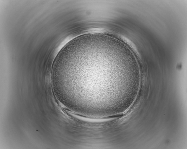 X0000093591473200710291112