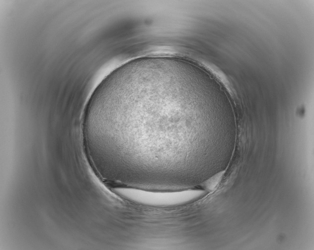 X0000093591475200710291112