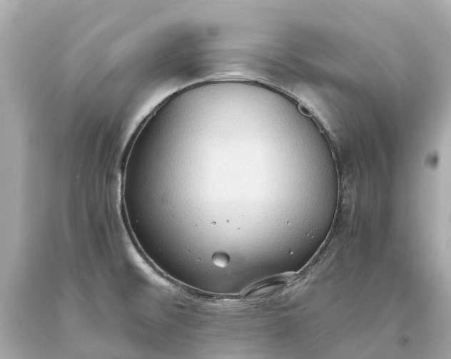 X0000093591476200710291112
