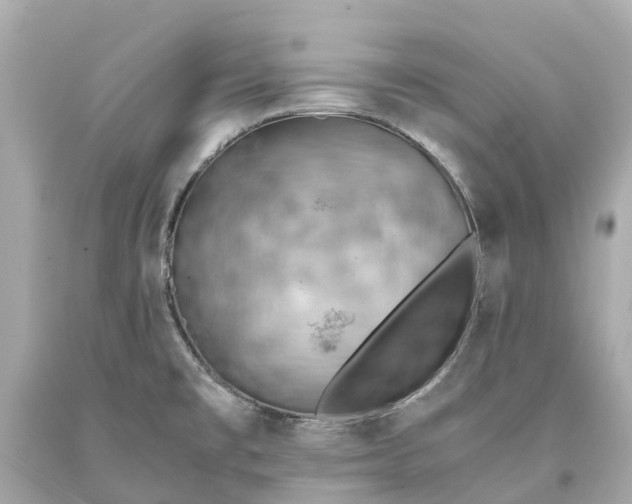 X0000093591477200710291112