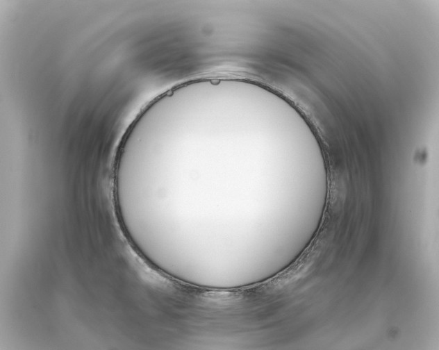 X0000093591478200710291112