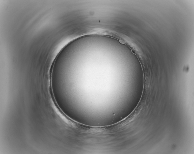 X0000093591479200710291112