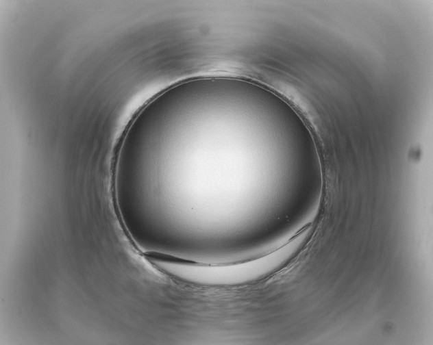 X0000093591480200710291112