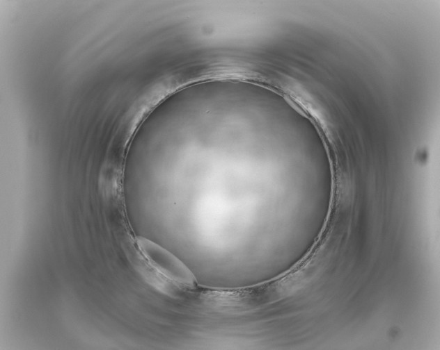 X0000093591481200710291112
