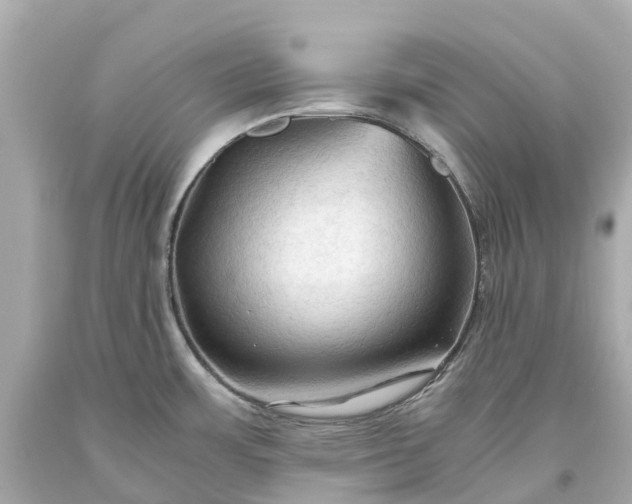 X0000093591483200710291112