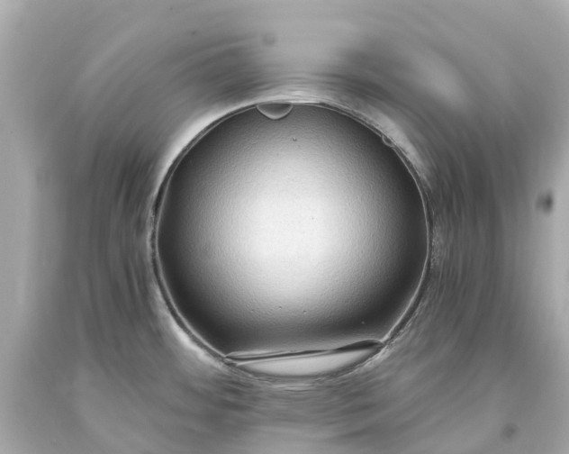 X0000093591484200710291112
