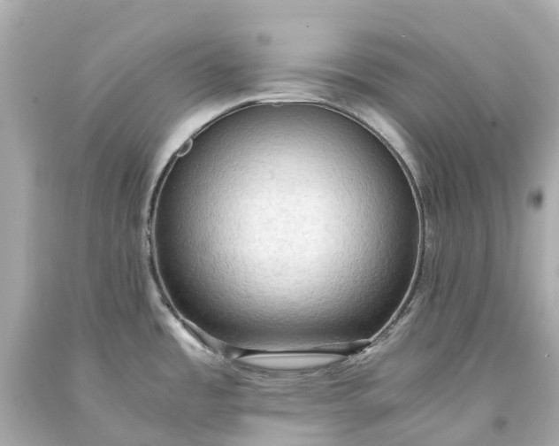 X0000093591485200710291112