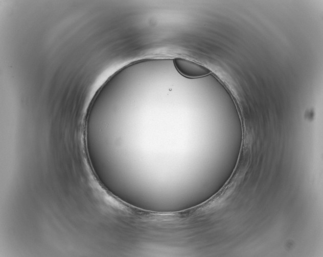 X0000093591486200710291112