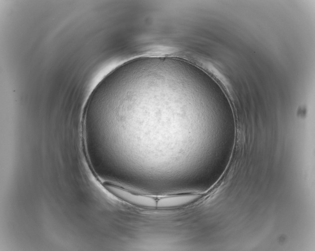 X0000093591487200710291112