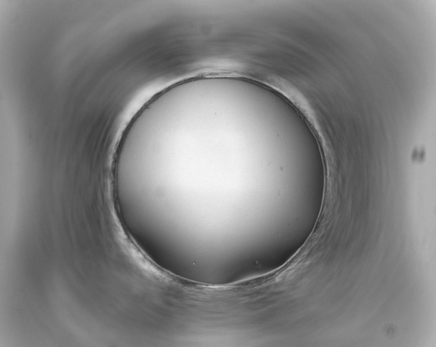 X0000093591488200710291112