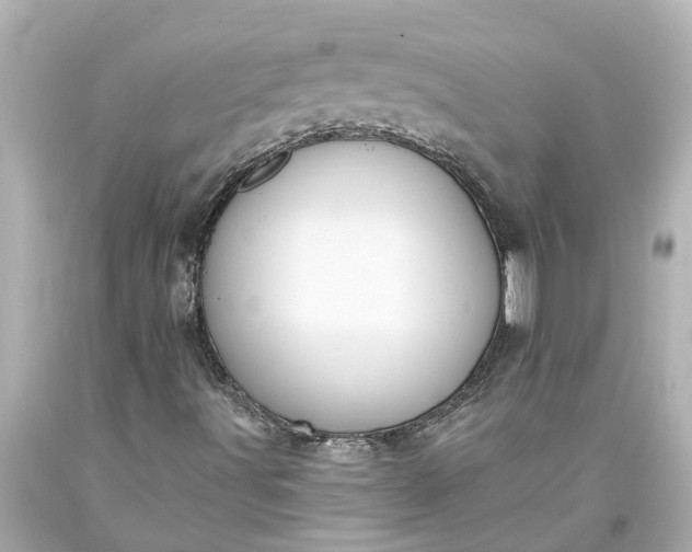 X0000093591491200710291111