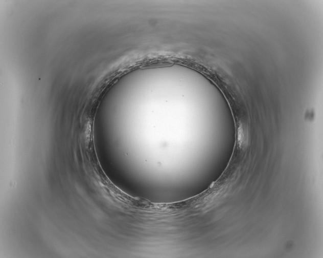 X0000093591492200710291111