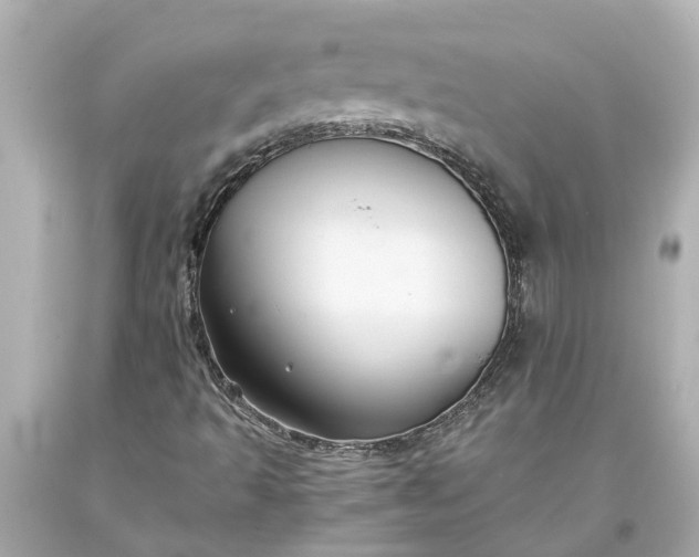X0000093591493200710291111