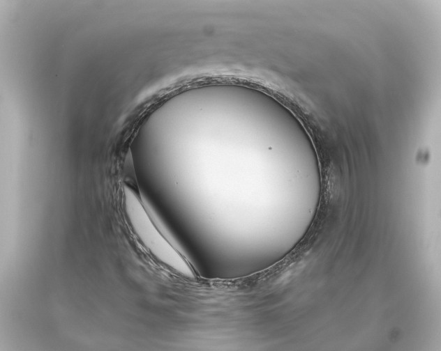 X0000093591494200710291111