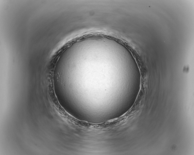X0000093591496200710291111