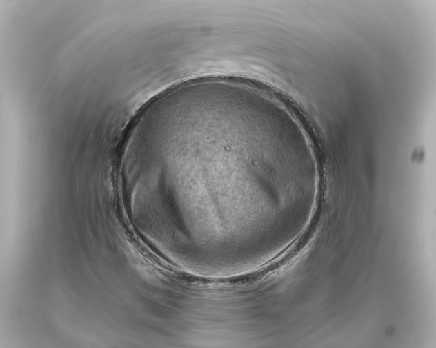 X0000093591497200710291111