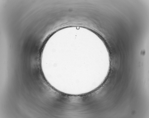 X0000093591498200710291111