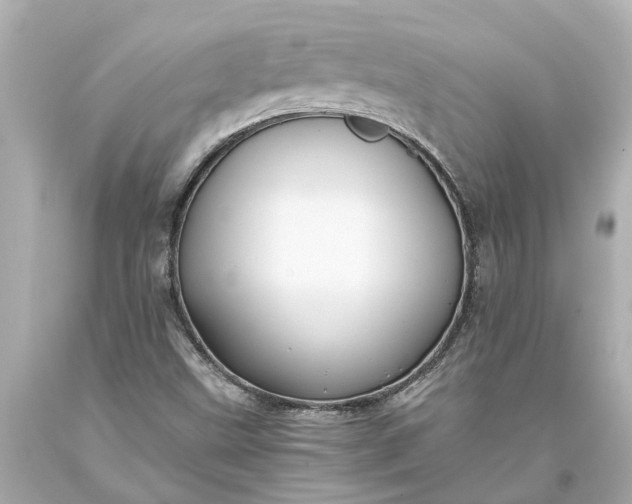 X0000093591499200710291111