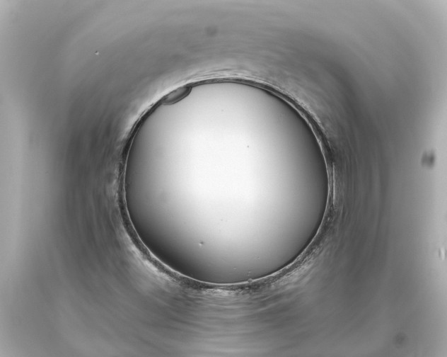 X0000093591500200710291111