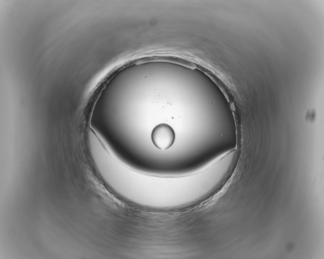 X0000093591502200710291111