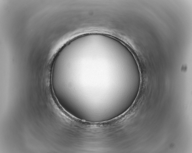 X0000093591504200710291111