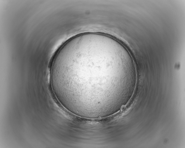 X0000093591509200710291111