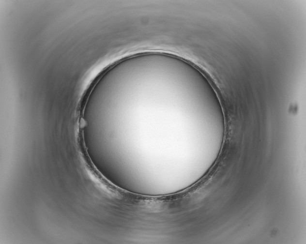 X0000093591511200710291111