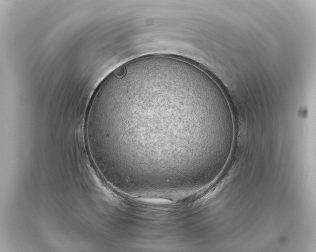 X0000093591513200710291111