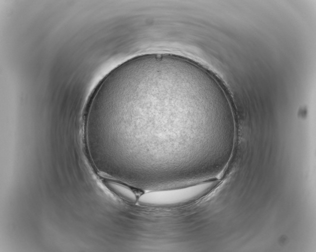 X0000093591517200710291111