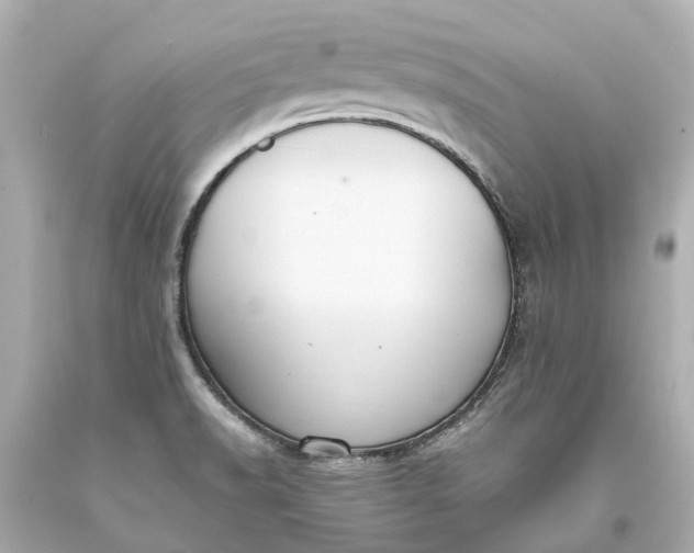 X0000093591518200710291111