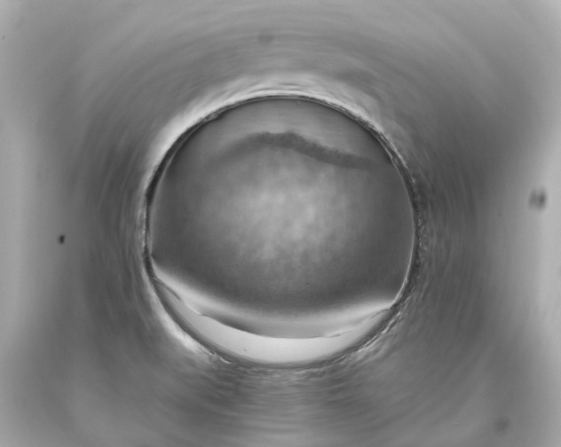X0000093591519200710291111