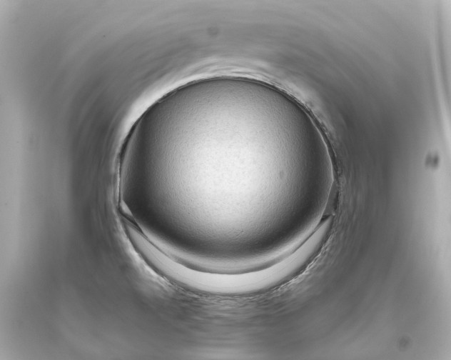 X0000093591520200710291111
