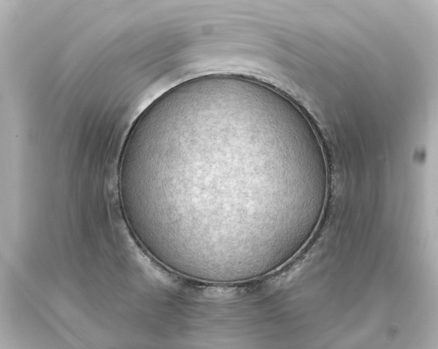 X0000093591521200710291111