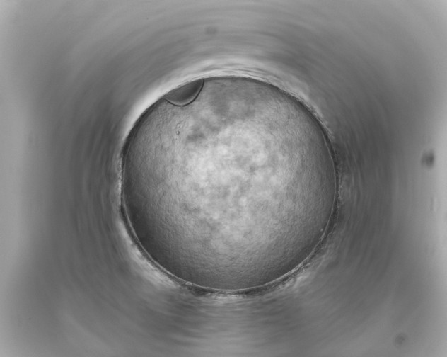 X0000093591522200710291111