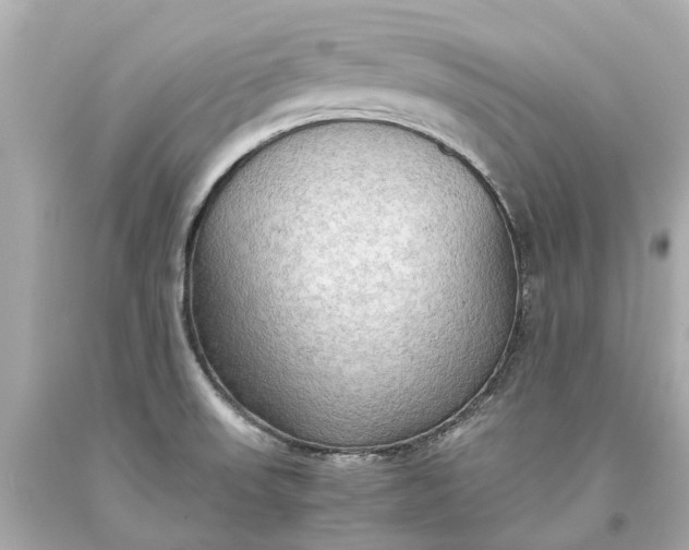 X0000093591523200710291111
