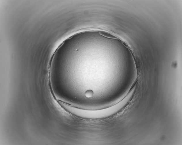 X0000093591524200710291111