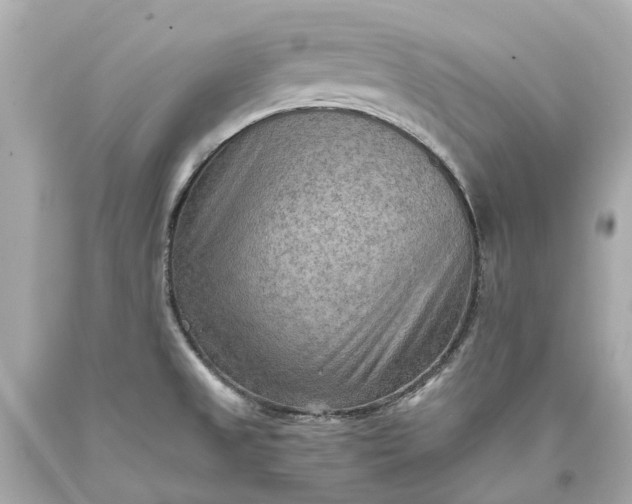 X0000093591525200710291111