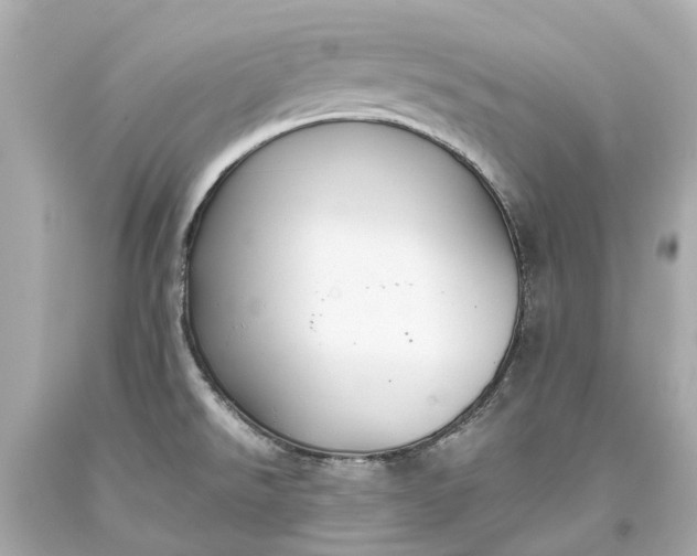 X0000093591526200710291111