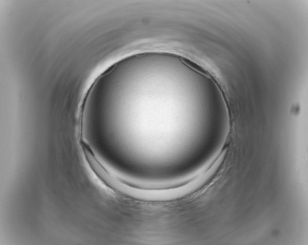 X0000093591528200710291111