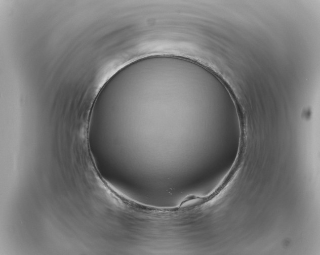 X0000093591529200710291111