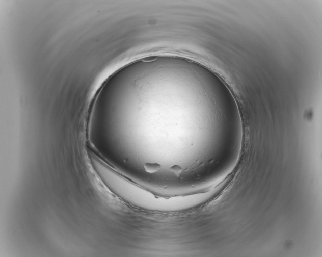 X0000093591530200710291111