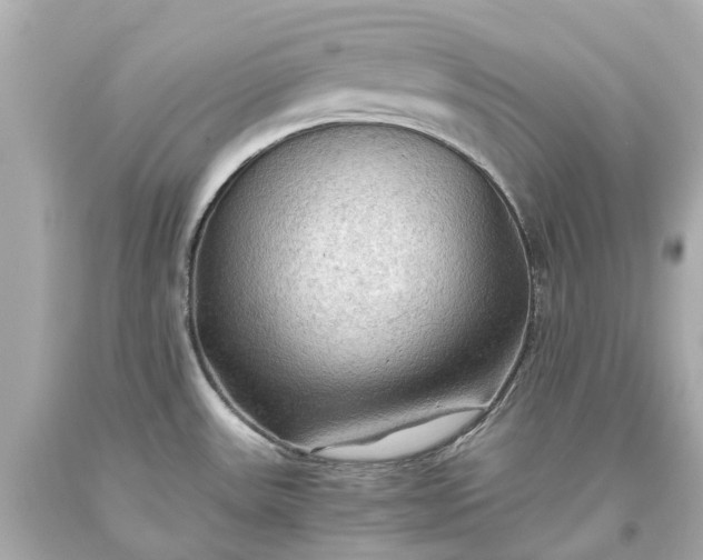X0000093591531200710291111