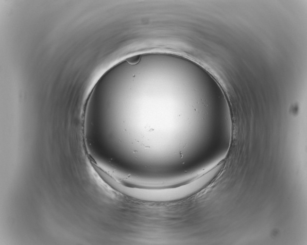 X0000093591532200710291112