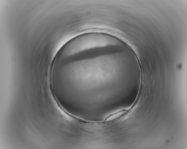 X0000093591533200710291112