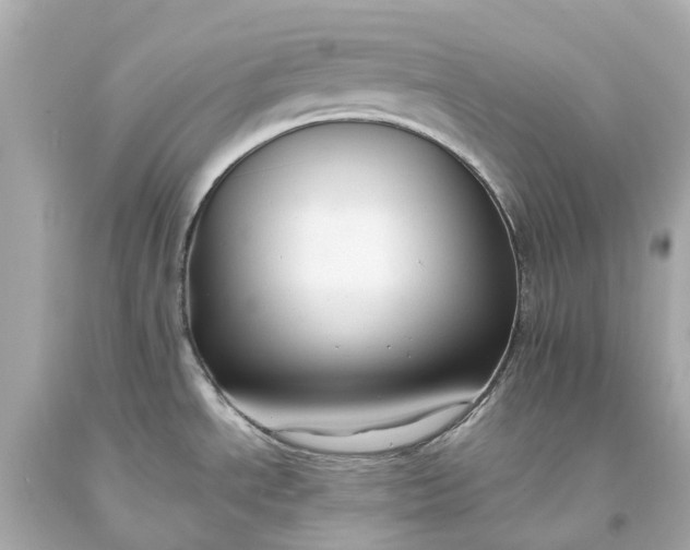 X0000093591534200710291112