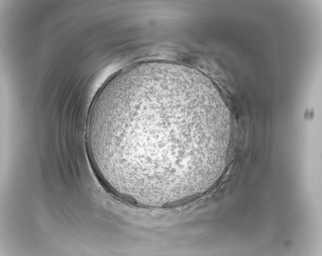 X0000093590003200711051147