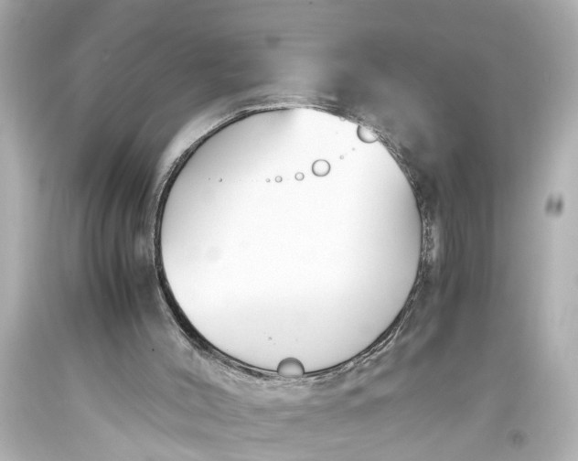 X0000093590004200711051147