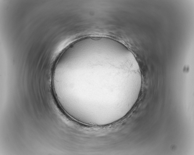X0000093590005200711051147